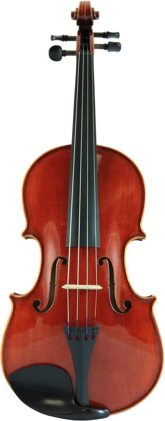 D'Luca CA400VA-16 16-Inch Orchestral Series Handmade Viola Outfit