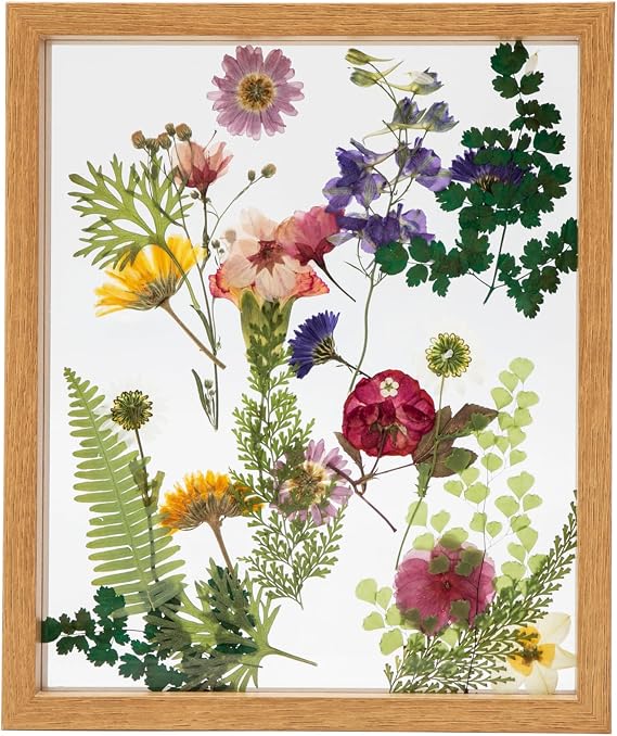 Twodays Birth Flower Mother's Day Craft Kit for Mom/Grandma - 33 Real Pressed Flowers Art DIY Set, With 8x10 Double Glass Frame & Tools, Unique Handmade Birthday Christmas Gift from Daughter (Natural)
