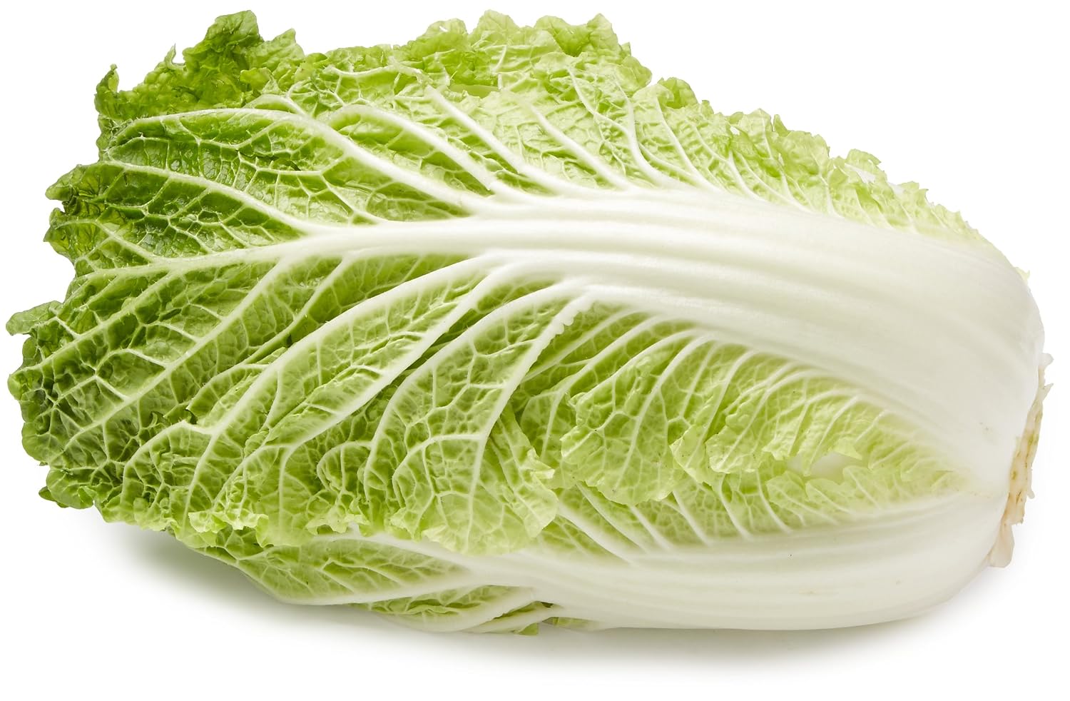Napa Cabbage, 1 Each