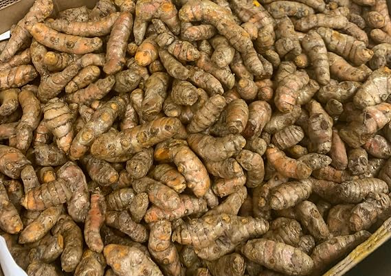 Fresh Yellow Turmeric Root - 1lb