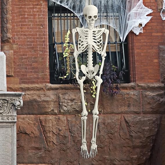 5.4FT Halloween Life Size Skeleton, Pirate Skeleton, Full Body Halloween Skeleton with Movable Joints, Full Size Skeleton for Indoor/Outdoor Decor Haunted House Spooky Party Decor (2PCwhite)