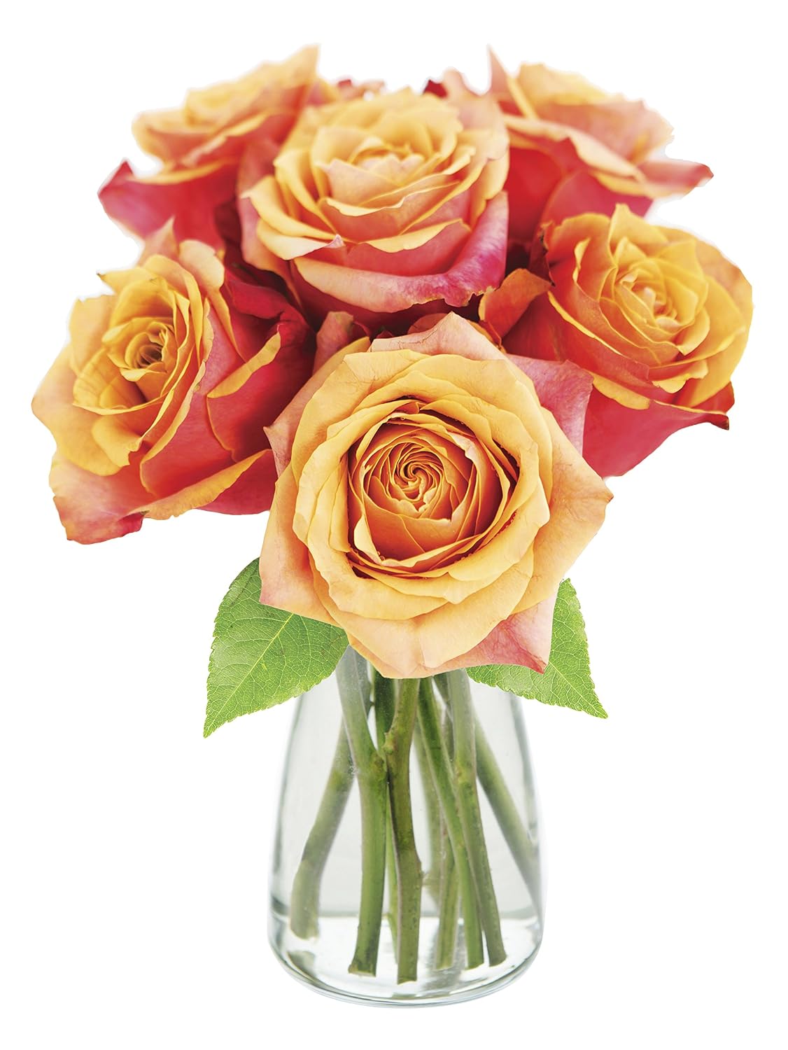 KaBloom Flowers - Mothers Day Collection - Bouquet of 6 Fresh Cut Orange Roses with Vase .Gift for Birthday, Get Well, Thank You, Valentine, Mother’s Day Fresh Flowers