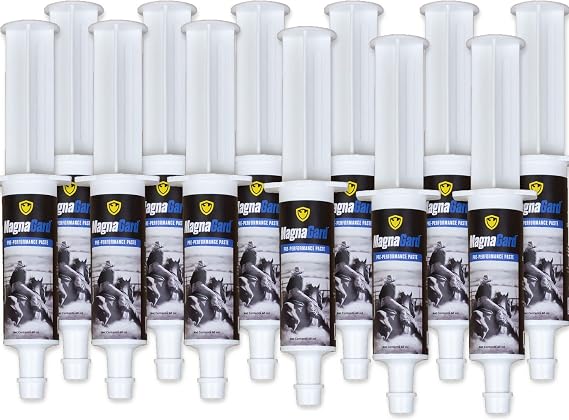 Pre-Performance Calming Paste for Horses - All Natural Gastric Support by Eagle Equine (12 Pack)