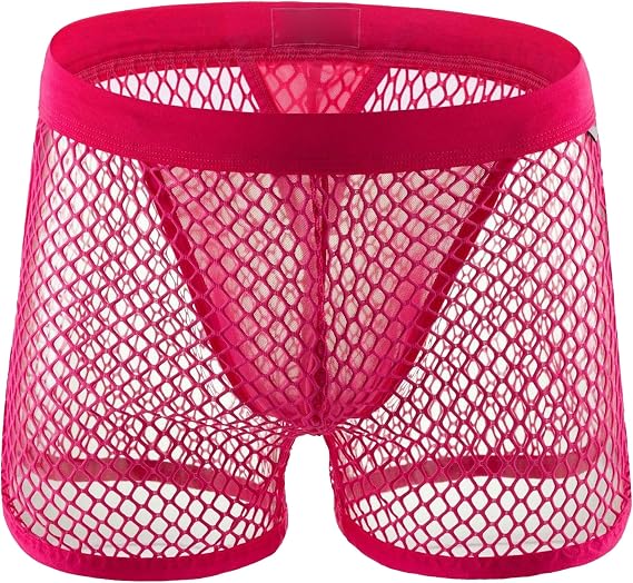 Men Sexy Mesh Boxer Briefs Nylon Hollow Low Waist See Through Trunks Low Rise Stretch Breathable Underwear Boxer