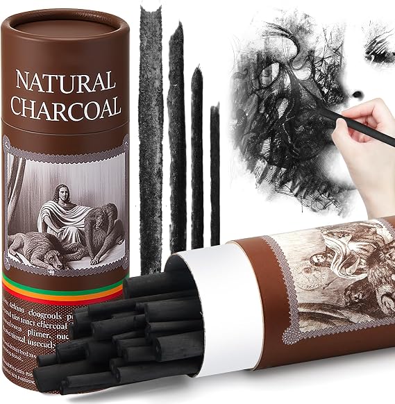 Gueevin 24 Pcs Soft Willow Charcoal Sticks Drawing,2-4mm,4-5mm,5-7mm,7-9mm | For Artists Beginners Students, Vine Charcoal Bulk for Sketching Shading Fine Art, Assorted Sizes, Back to School Gifts