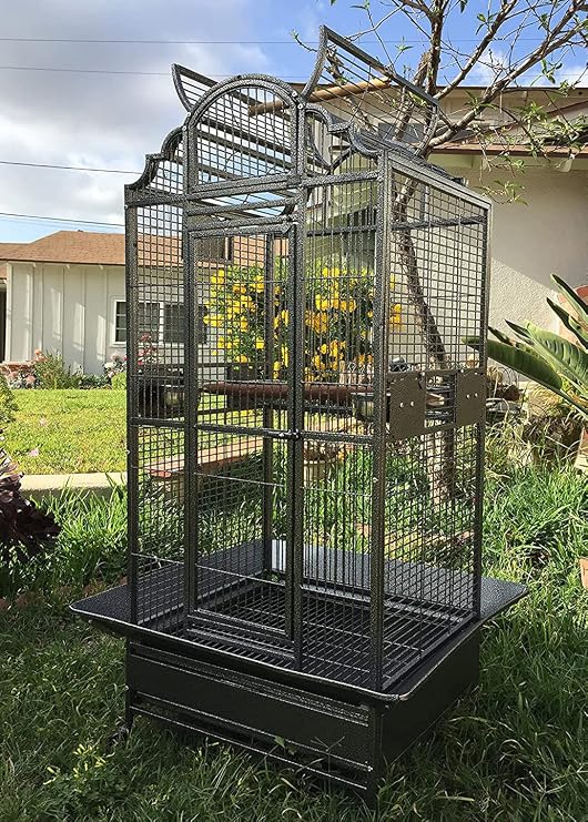 Large Elegant Wrought Iron Open Dome Play Top Bird Parrot Cage, Include Metal Seed Guard Solid Metal Feeder Nest Doors