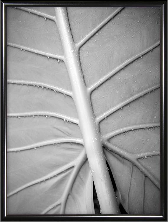 MCS 8x12 Inch Gallery Aluminum Frame, Black (44823)