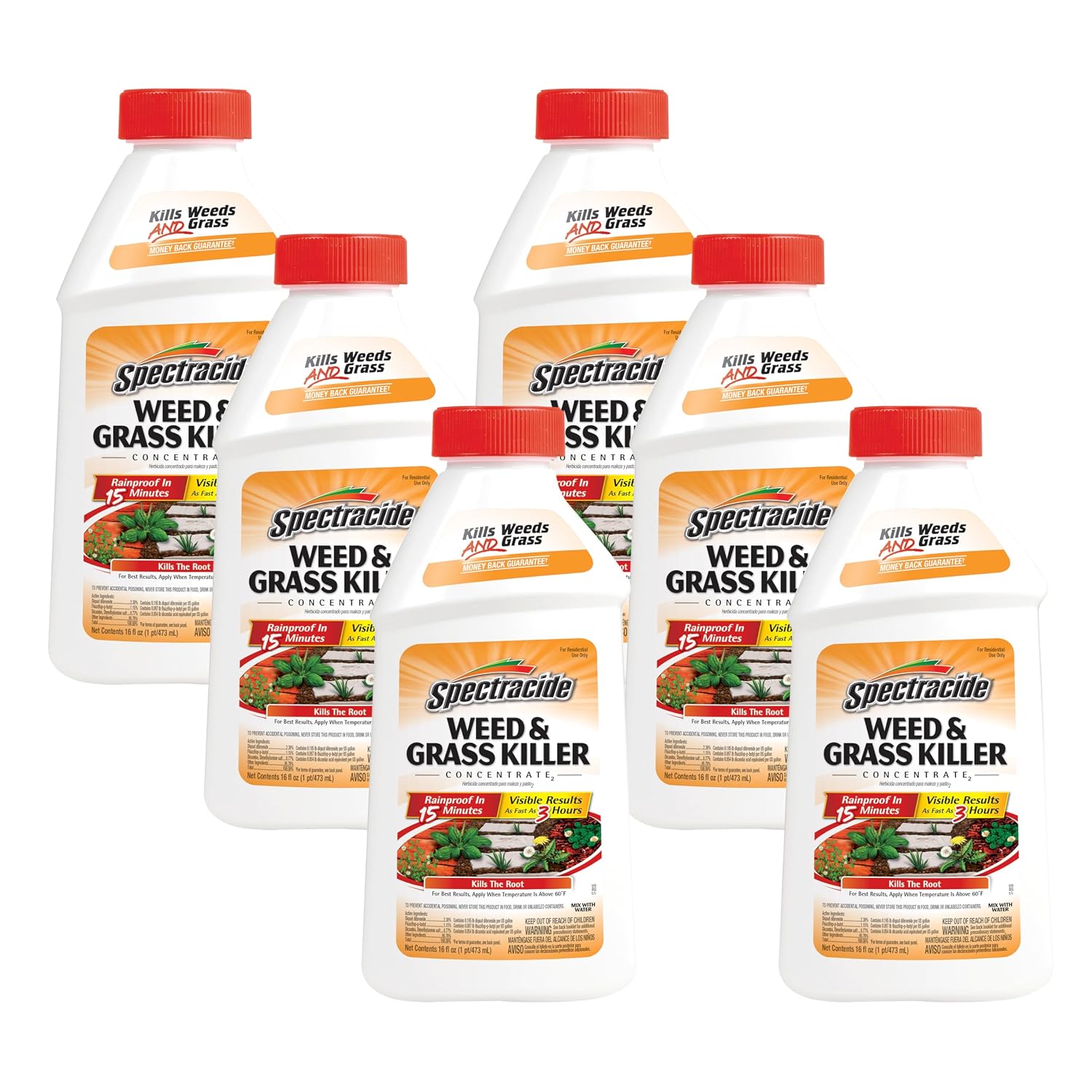 Spectracide Weed & Grass Killer Concentrate2, 16-Ounce, 6-Pack