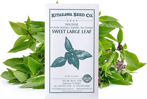 Kitazawa Seed Co Basil Seed Thai Sweet Large Leaf 1g Packet 600 Seeds | Non-GMO, Heirloom: Microgreens & Asian Herb Gardening