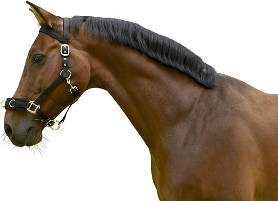 Kerbl Plastic Lunging Headcollar Black