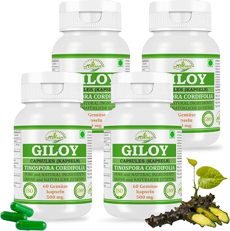 Giloy (Guduchi) Capsules 500 mg - 60 Vegan Capsules High Dose Tinospora Cordifolio Extract (10:1) Ayurvedic Dietary Supplement for Men &amp; Women (4 Bottles of 60 Capsules)