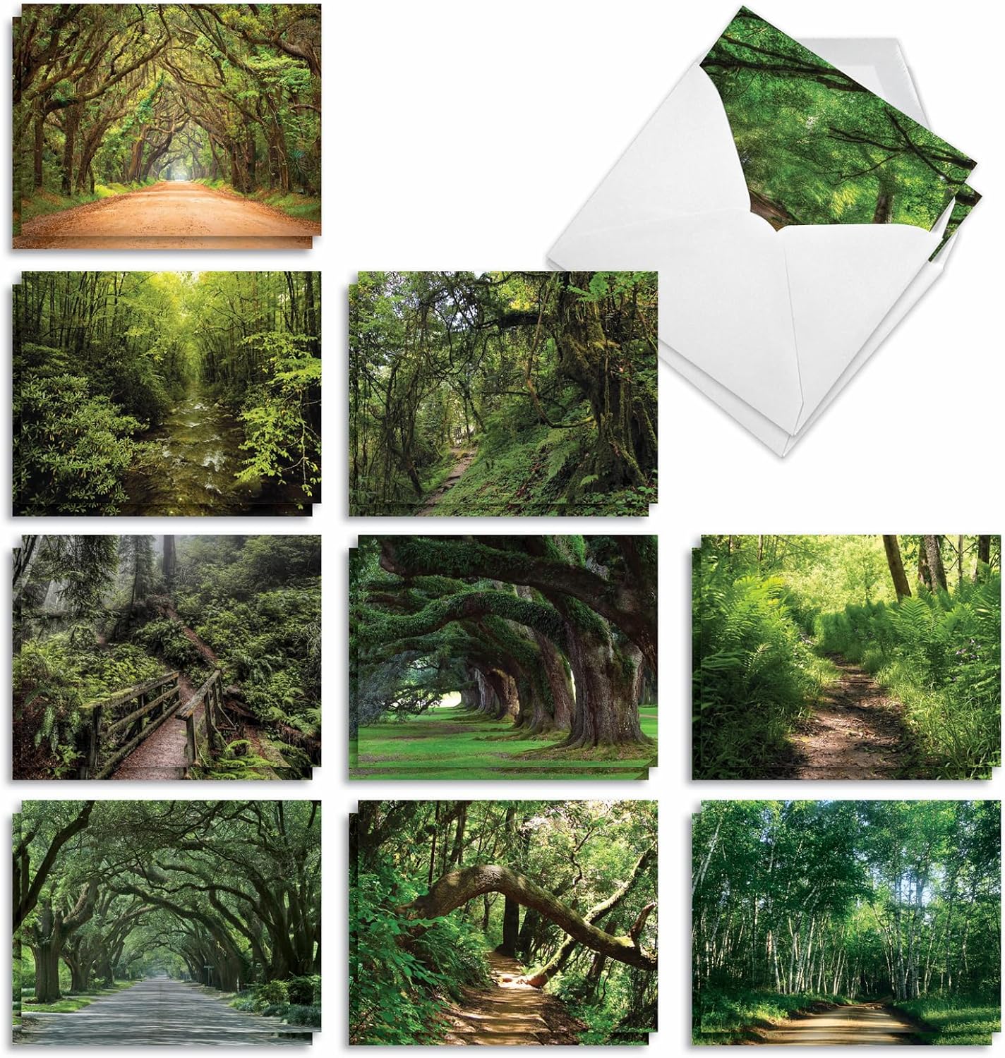The Best Card Company - 20 Landscape Nature Note Cards Blank 4 x 5.12 Inch 10 Designs, 2 Each - Nature Trails AM6467OCB-B2x10