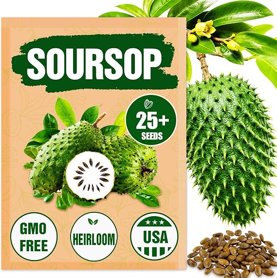 Premium Soursop (Graviola) Seeds 25+ Non-GMO Heirloom - Fast-Growing, High-Yield Tropical Fruit Trees