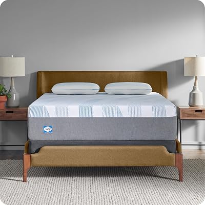 Sealy Dreamlife 14 Foam Mattress-in-a-Box, Twin XL, SealyComfort Gel Memory Foam, SealySupport Transition Foam, Machine Washable Cover