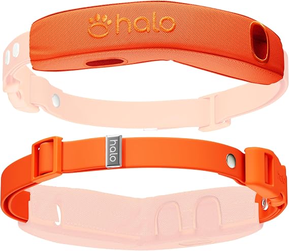 Halo Collar 5 Pro Case + Strap Kit, Blaze