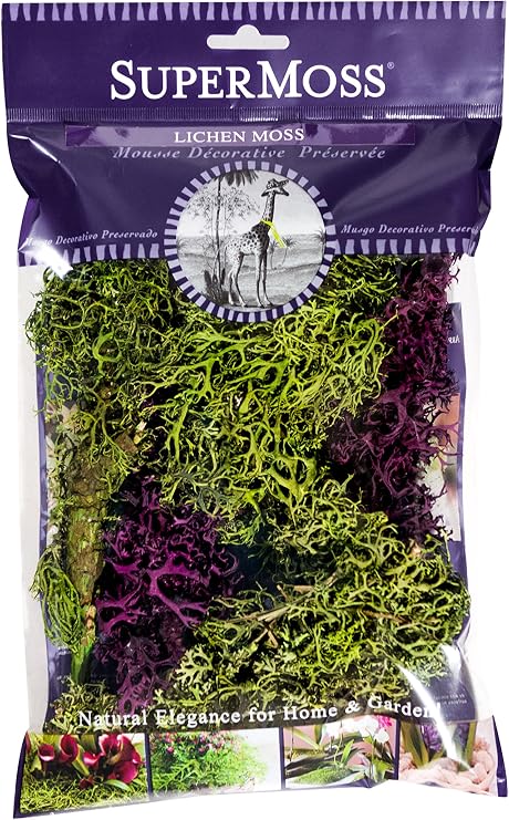 SuperMoss (25811) Lichen Parmelia (Branched), Green + Burgundy Mix, 120 cu in