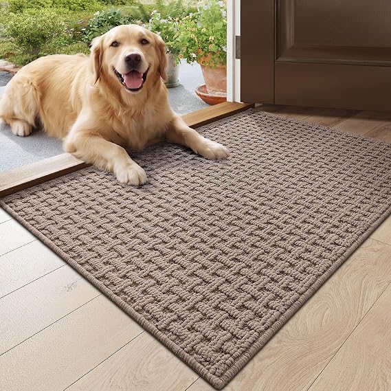 DEXI Door Mat Indoor Entrance 24x36, Entryway Doormats, Beige